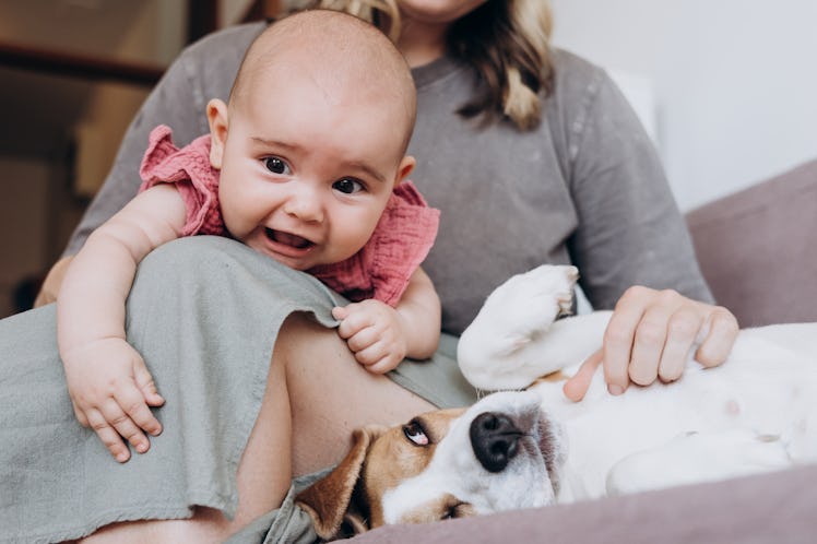 A mom sitting on a couch with her baby in her lap rubs their pet dog's belly.