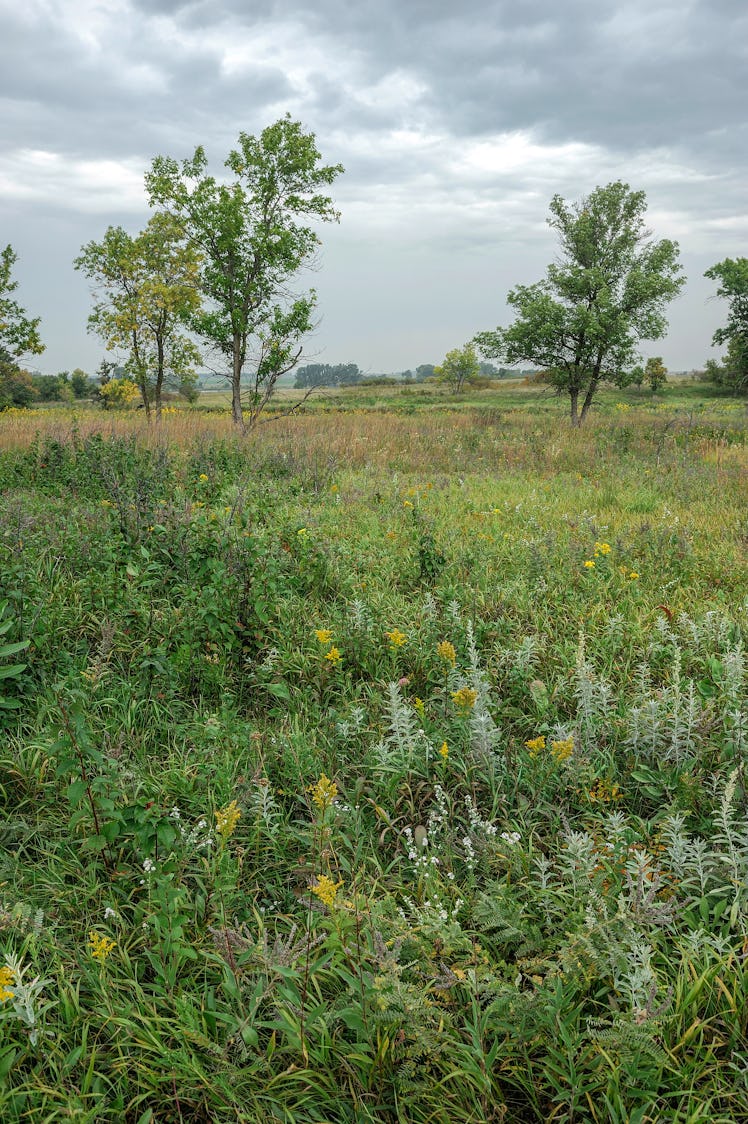 North America, Midwest, Minnesota, Pipestone, National Monument, prairie,,. (Photo by: Dukas/Univers...