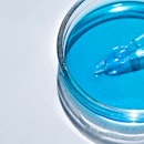 Blue facial serum in petri dish on white background. Cosmetic and medicine concept. Laboratory glass...