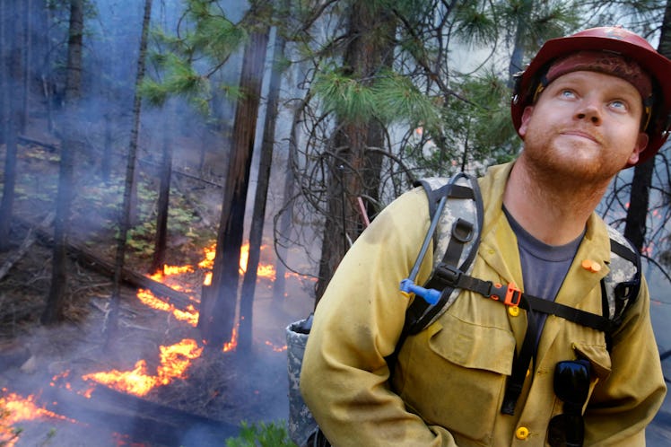 AUGUST 27, 2013. YOSEMITE NATIONAL PARK, CA.   While monitoring a controlled backfire along Hwy 120 ...