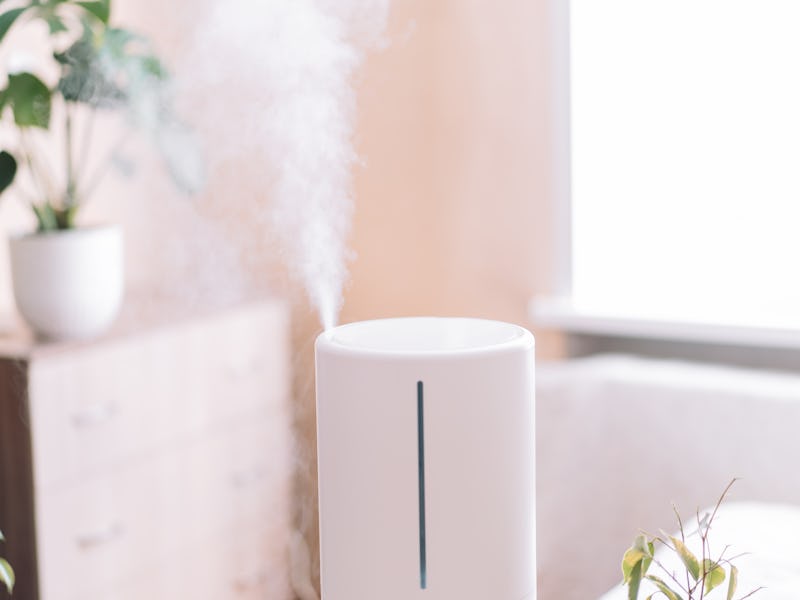 Humidifier in the room opposite the houseplant on the chest of drawers and the window.