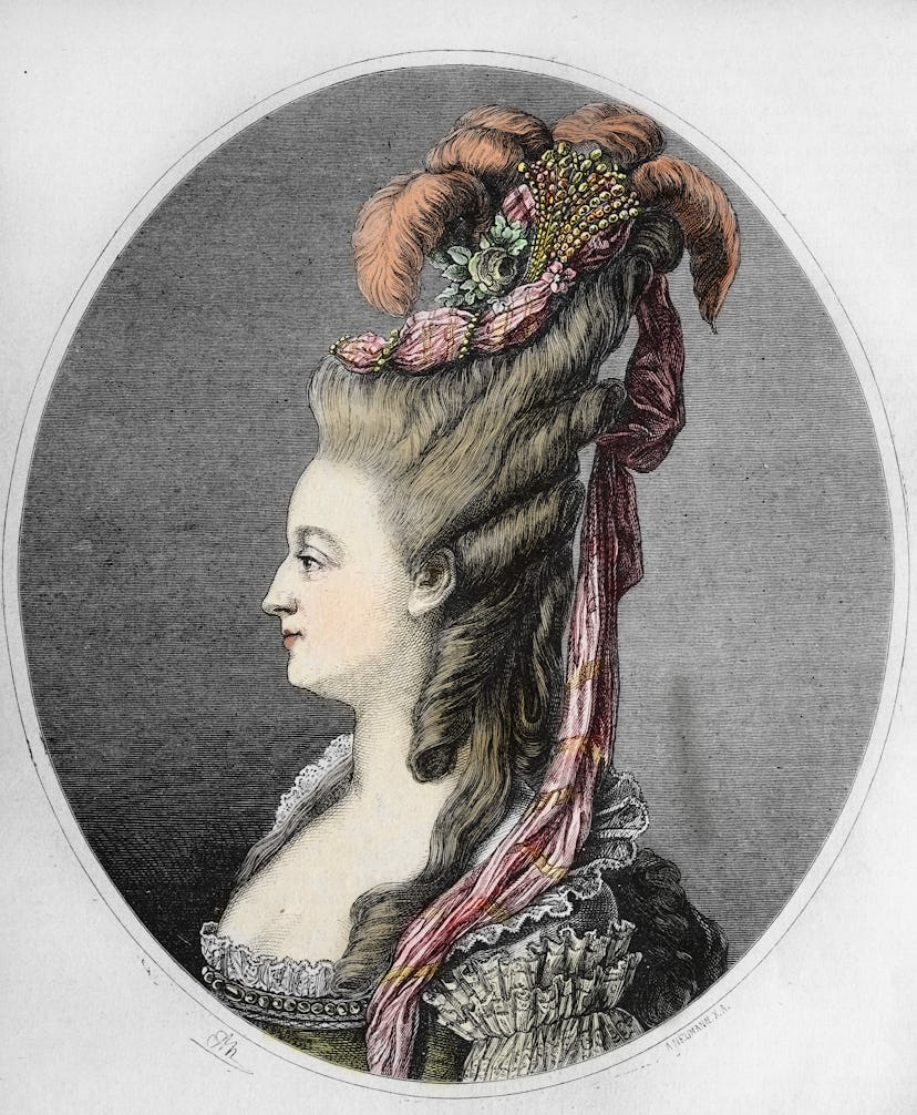 Portrait of the Queen of France Marie Antoinette (1755-1793).