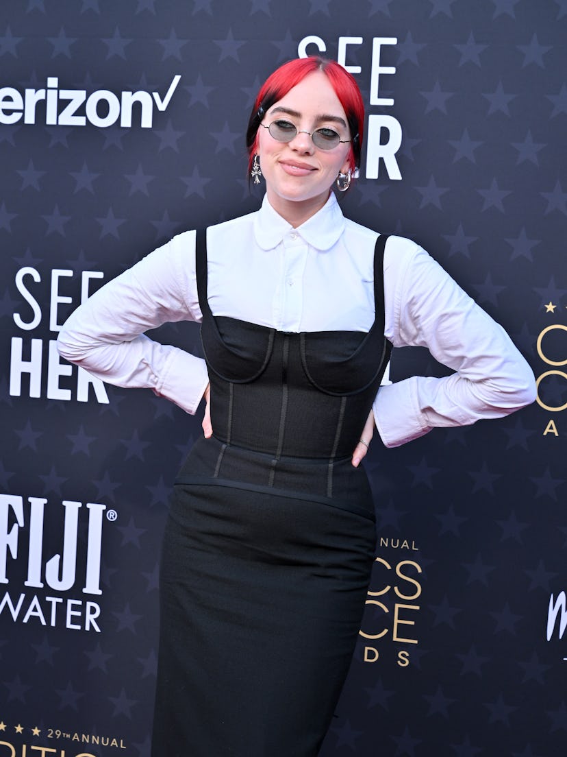 Billie Eilish attends the 29th Annual Critics Choice Awards at Barker Hangar on January 14, 2024 in ...