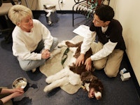 Chicago, UNITED STATES: Dr. Julie Mayer (R), certified in veterinary acupuncture and veterinary chir...