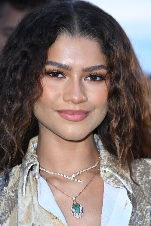 Zendaya curly hair 2023