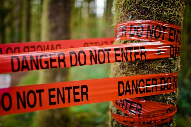 A 17-year-old Chinese exchange student has been found safe after what authorities are calling a “cyb...