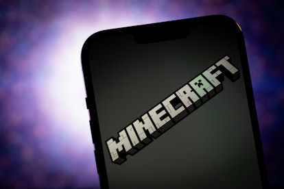 The Minecraft logo is seen in this illustrtion photo taken in Warsaw, Poland on 21 November, 2023. (...