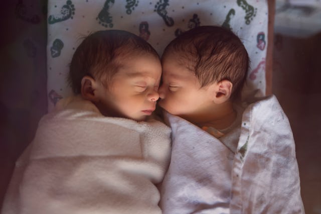 newborn male fraternal twins sleep peacefully after birth together swaddled and together in their cr...