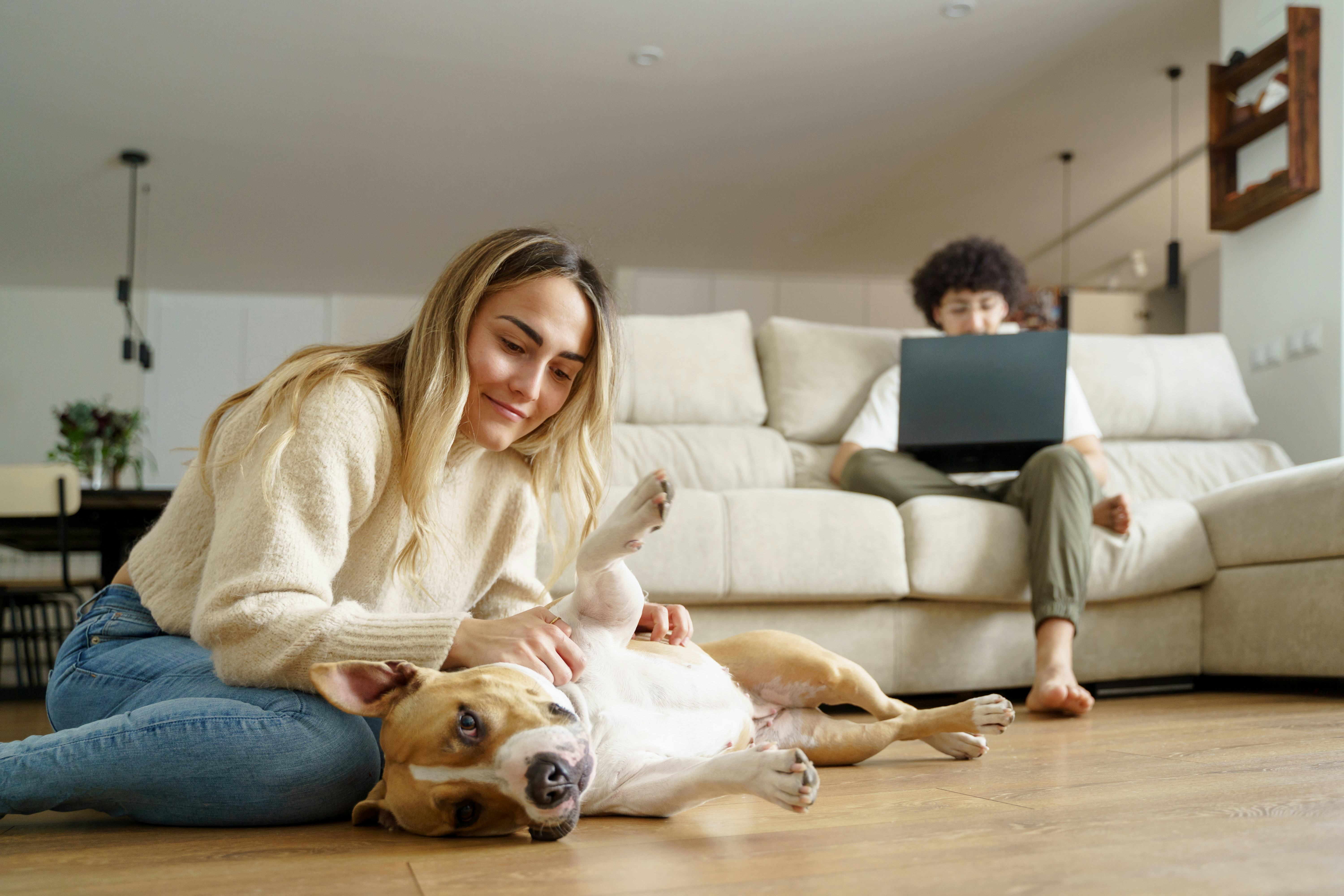 Gemini will wan to lean into their home life this full moon.