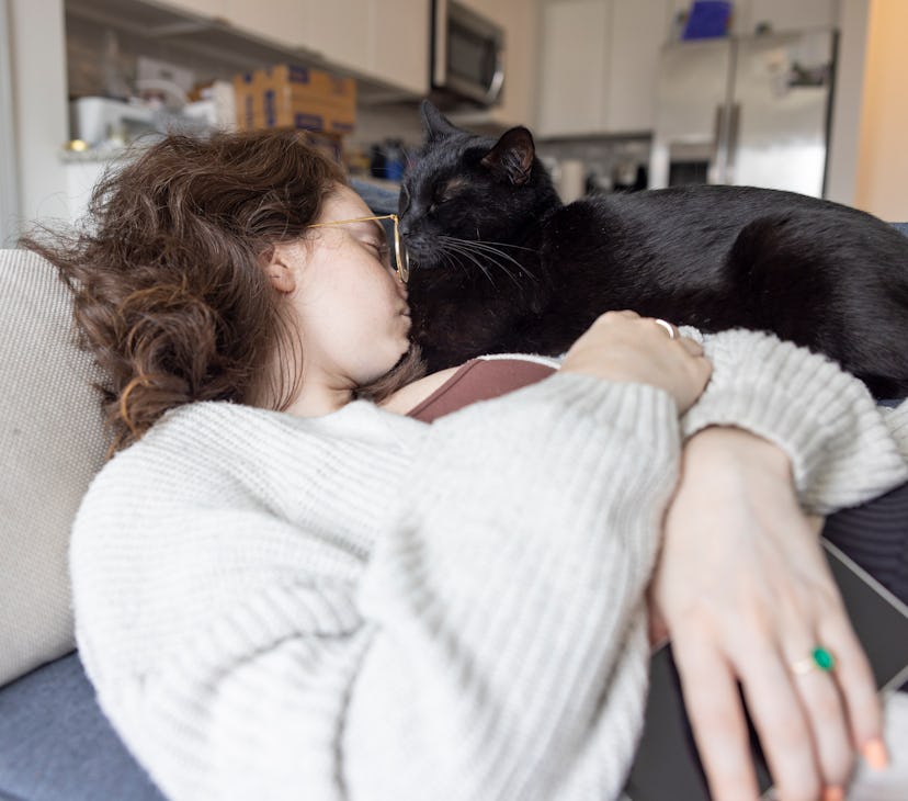 Tranquil day moments with black cat: young woman in eyeglasses naps alongside her black cat on a cou...