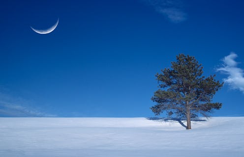 Here's how the Jan. 11 new moon will affect each zodiac sign, according to an astrologer.