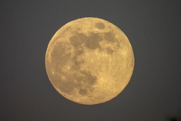 The January 2024 Full Wolf Moon in Leo