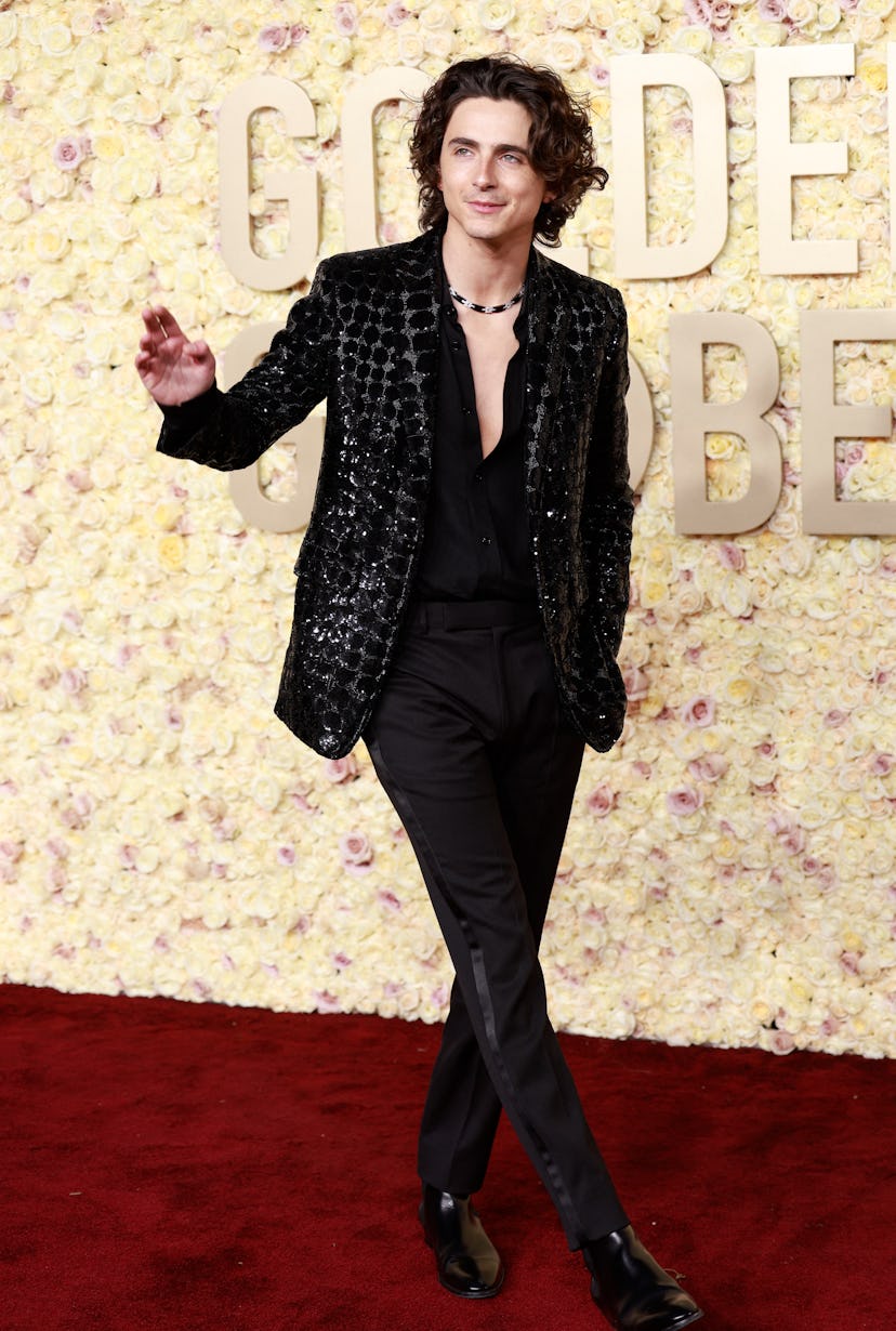 US-French actor Timothee Chalamet arrives for the 81st annual Golden Globe Awards at The Beverly Hil...