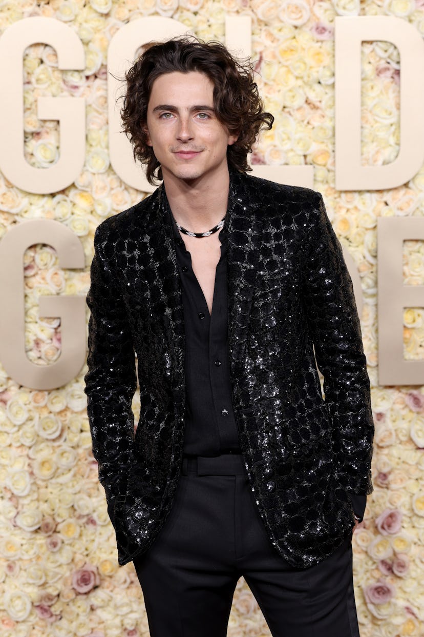 Timothée Chalamet attends the 81st Annual Golden Globe Awards at The Beverly Hilton on January 07, 2...