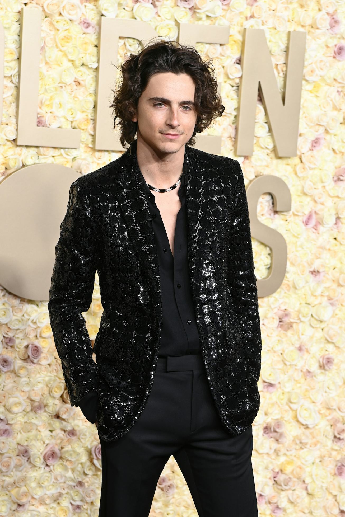 BEVERLY HILLS, CALIFORNIA - JANUARY 07: Timothée Chalamet attends the 81st Annual Golden Globe Award...