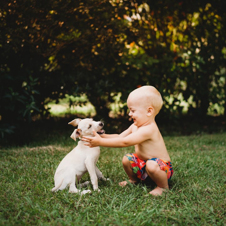 Should I get a puppy when I have a baby? A mom tells her story.