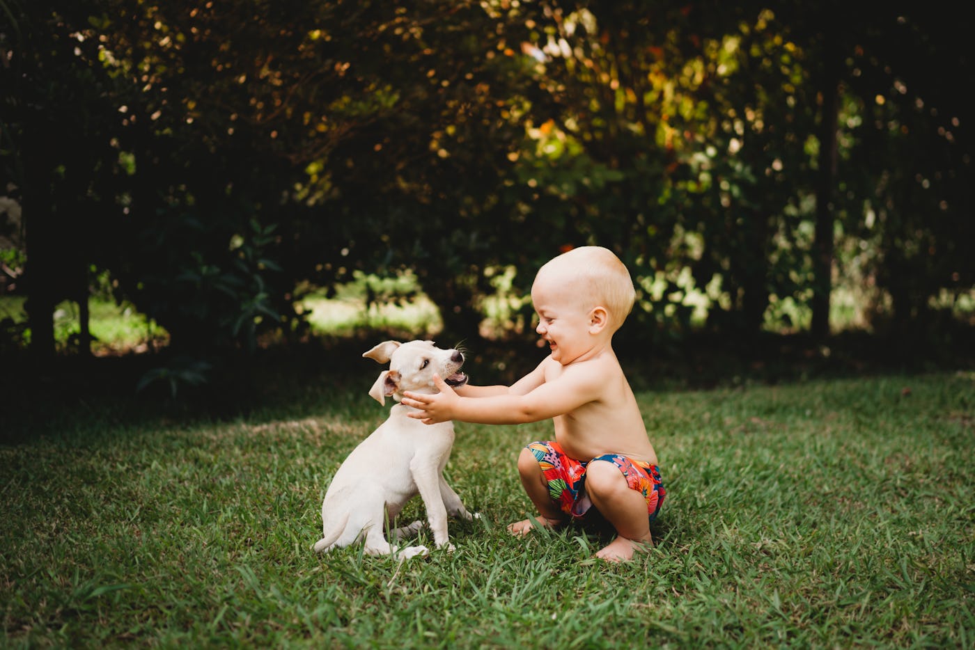 Should I get a puppy when I have a baby? A mom tells her story.