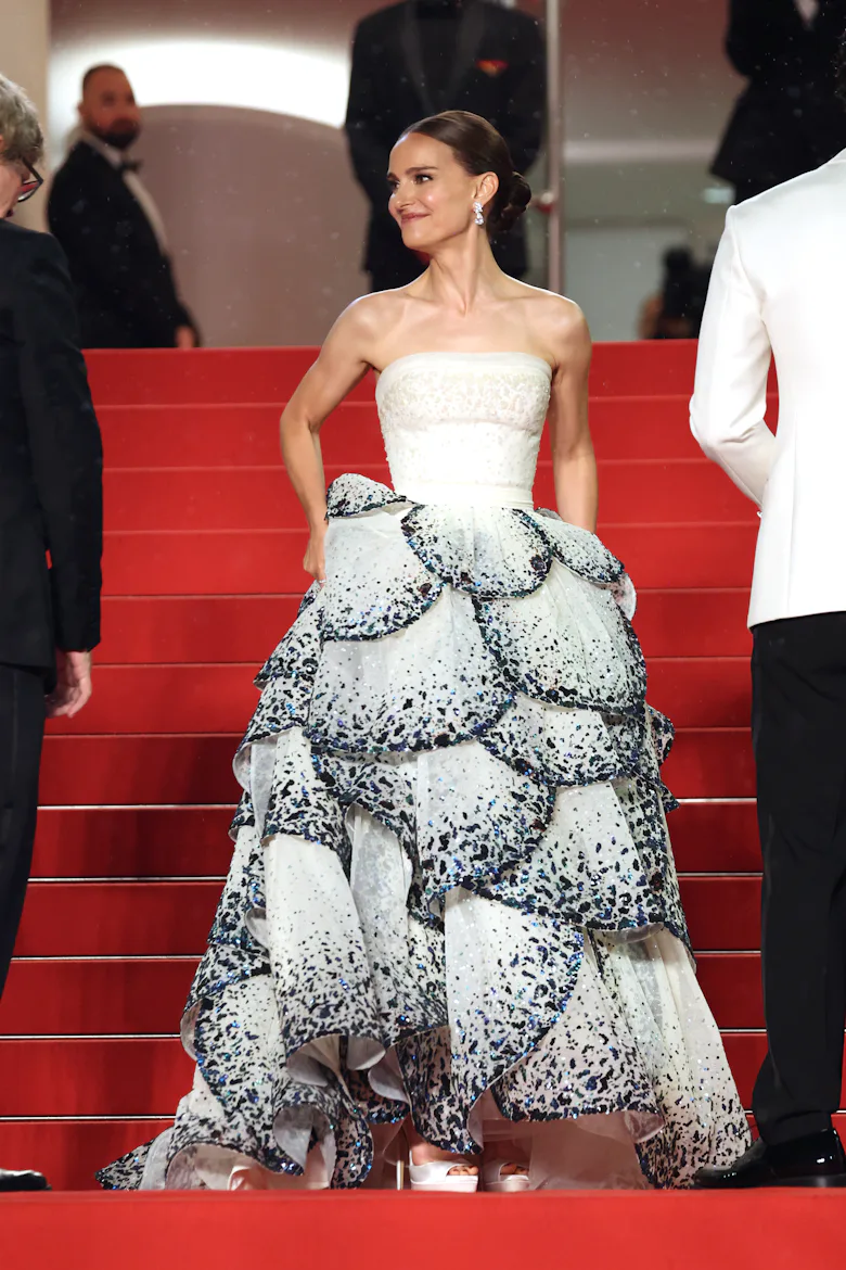 dior red carpet dresses 22 Best DIOR Red Carpet ideas
