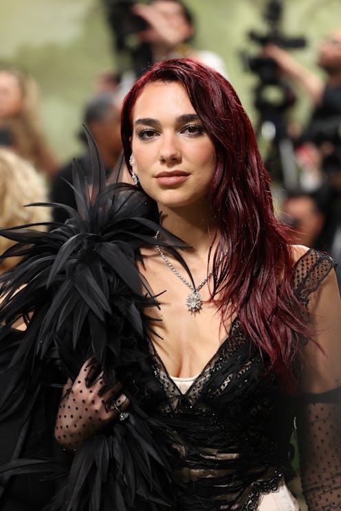Dua Lipa wore 2 bikinis in fall.