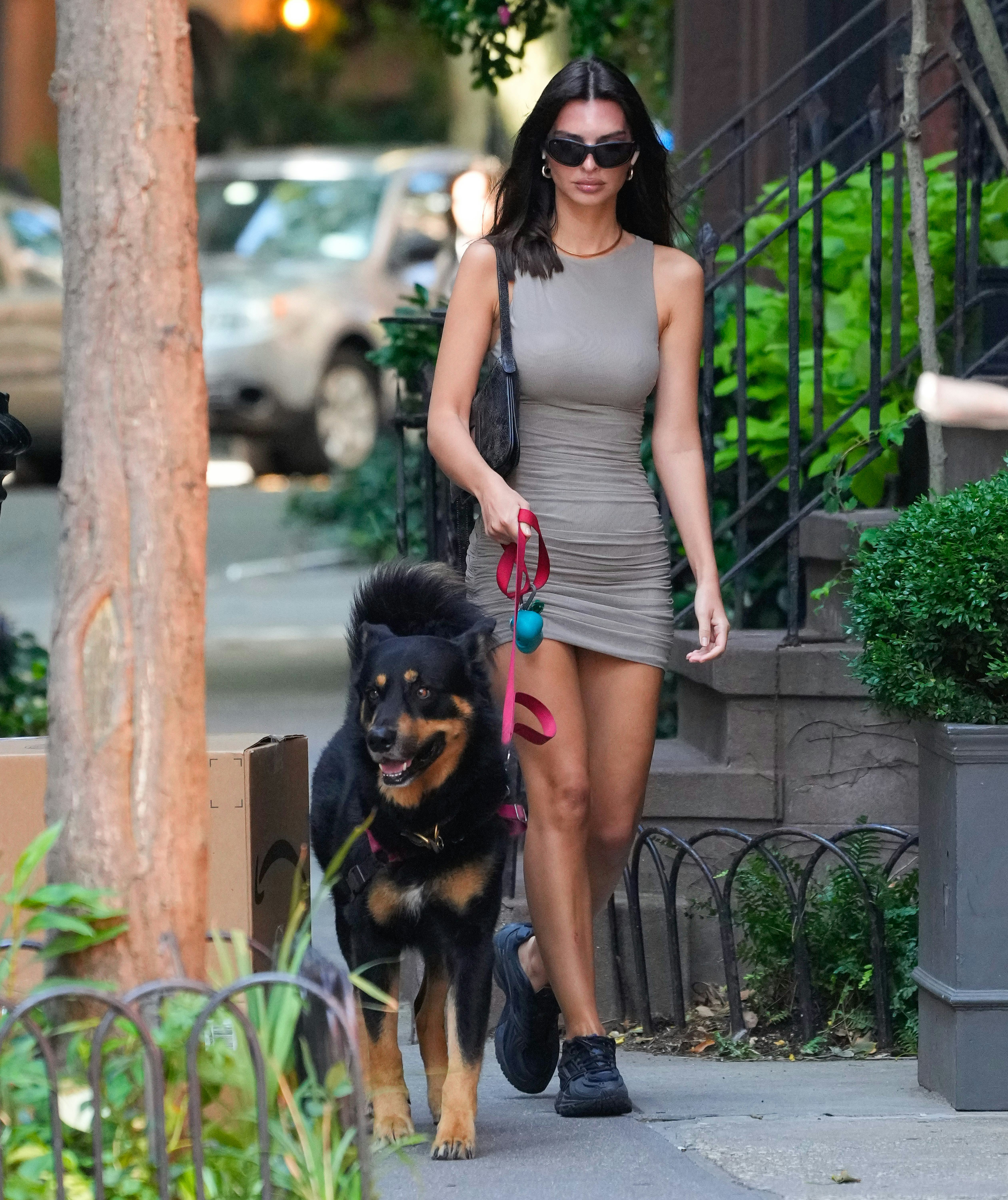NEW YORK, NEW YORK - AUGUST 21:  Emily Ratajkowski is seen walking her dog on August 21, 2024 in New&hellip;