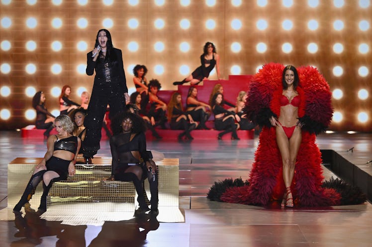 Cher and Bella Hadid at the Victoria's Secret Fashion Show