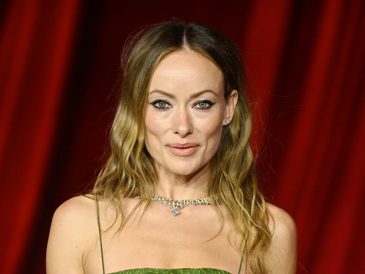 Olivia Wilde's 2024 Academy Museum Gala Dress Was See-Through Olivia Wilde's 2024 Academy Museum Gala Dress Was See-Through