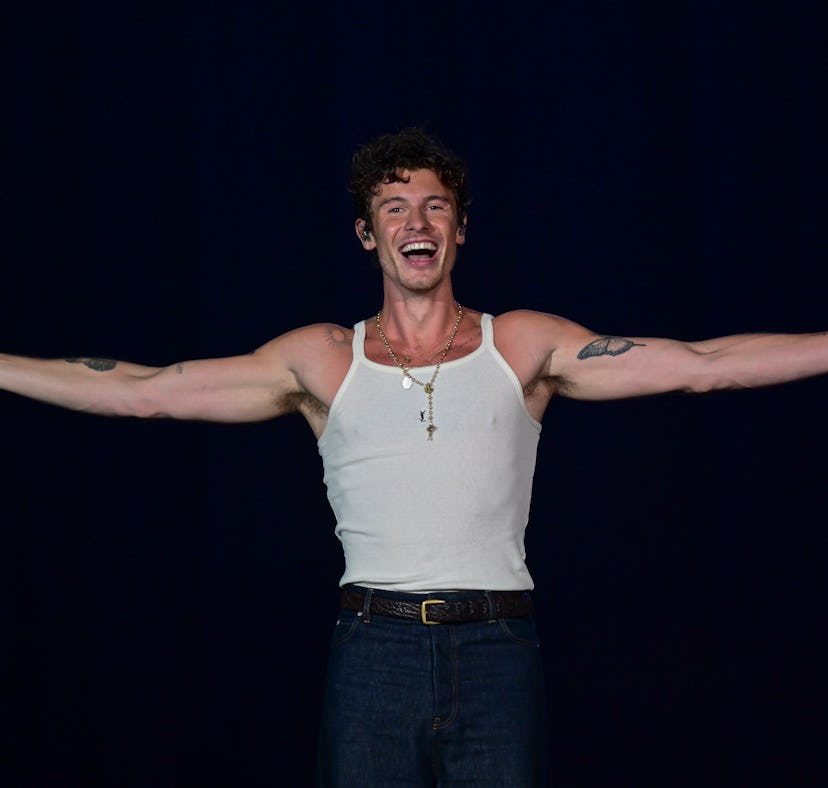 Shawn Mendes' lyrics from "The Mountain" address the gossip about his sexuality.