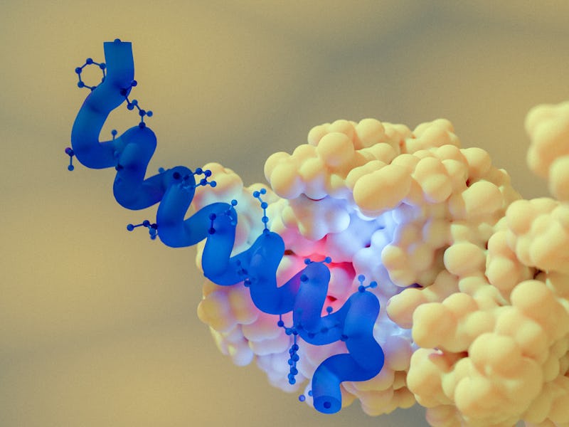 Illustration of a semaglutide peptide (blue) bound to its target glucagon-like peptide-1 (GLP-1, lig...