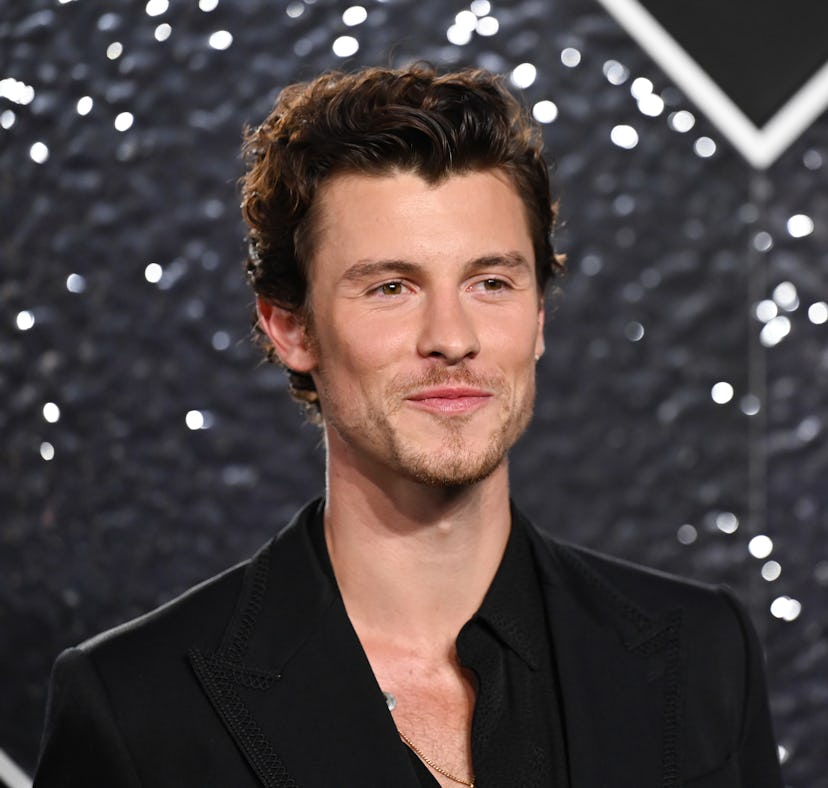 Shawn Mendes