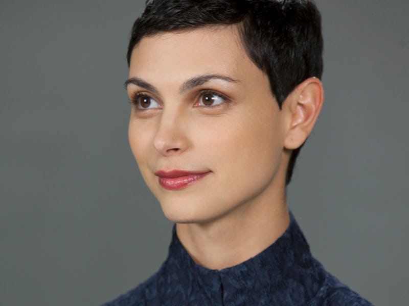 V - "Pound of Flesh" - Anna introduces her pilot program to invite select groups of humans to stay o...