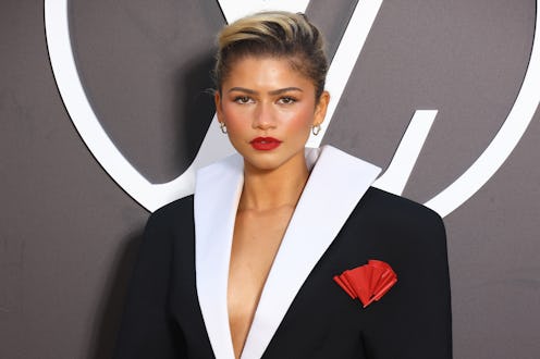 Zendaya Says ‘Euphoria’ Season 3 Delays Weren’t Her Fault