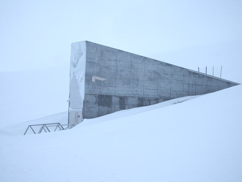 dpatop - PRODUCTION - 23 February 2023, Norway, Longyearbyen: The entrance to the global seed vault ...