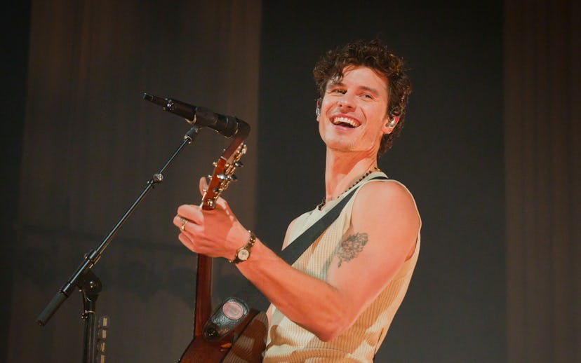 BERLIN, GERMANY - NOVEMBER 13: Canadian singer Shawn Mendes performs live on stage during a concert ...