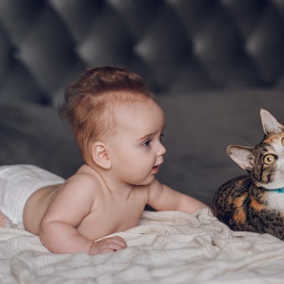 A playful baby with soft hair lies on a bed, looking at a curious cat beside them. The cozy scene captures their innocent interaction.