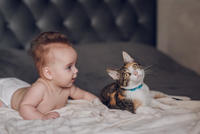 A playful baby with soft hair lies on a bed, looking at a curious cat beside them. The cozy scene ca...