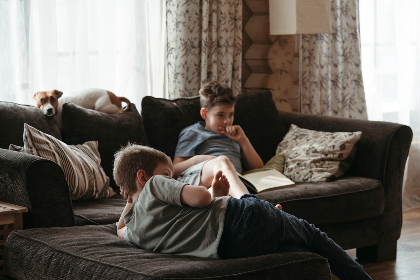Young boys brothers watch TV in a rustic interior. Next to them on the sofa is their dog and an open book.