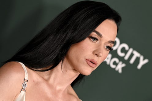 Katy Perry wore a see-through minidress and flaunted her underboob.