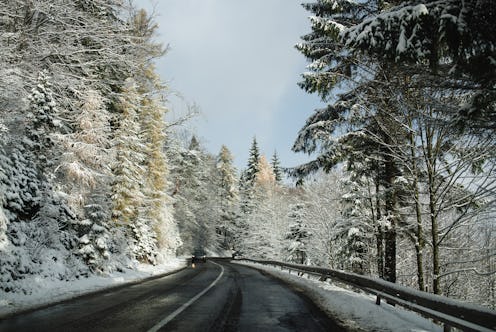 A winding road cuts through a winter forest covered in fresh snow, with tall pine trees lining both ...