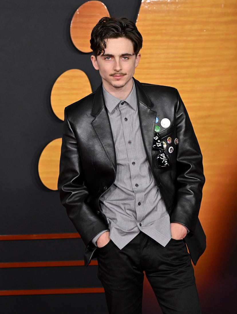HOLLYWOOD, CALIFORNIA - DECEMBER 10: Timothée Chalamet attends the Los Angeles Premiere of Searchlig...
