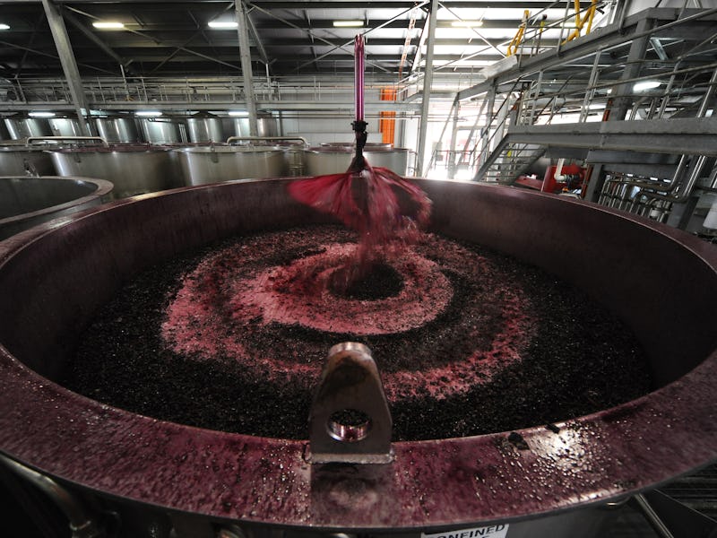 Fermenting red wine grape juice passes through a spraying device in a vat during primary fermentatio...