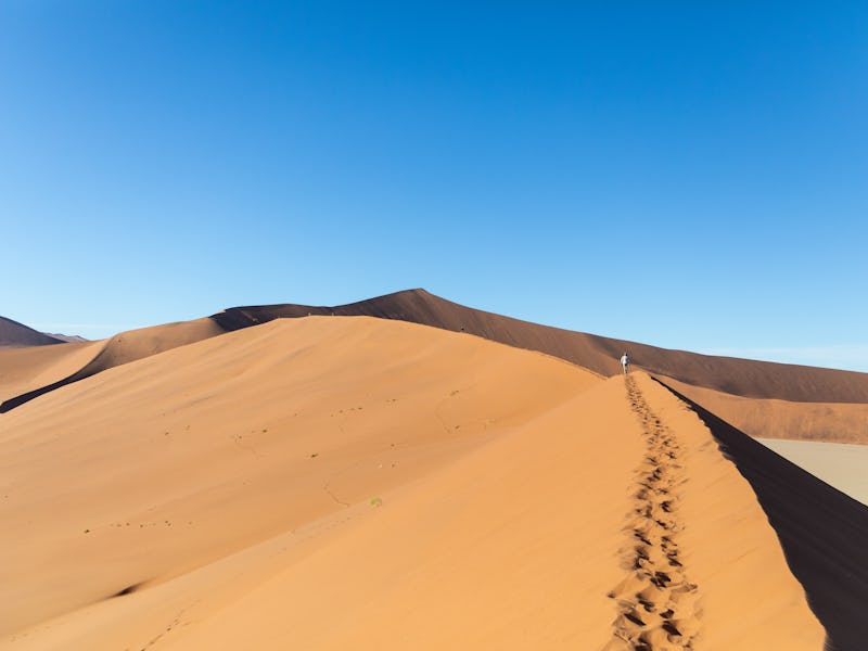 A lone person leaves tracks on the ridge of Big Daddy sand dune