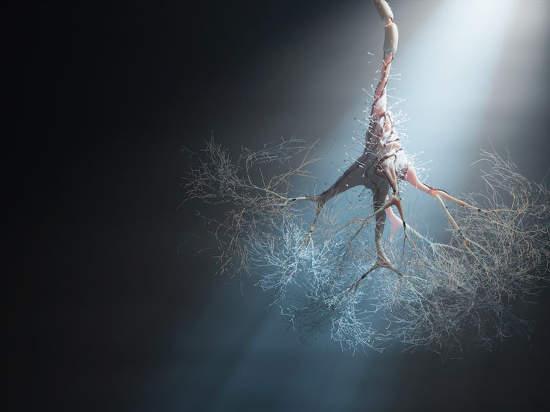 Abstract neuron cells - 3d rendered image of Neuron cell network on black background.  Conceptual me...