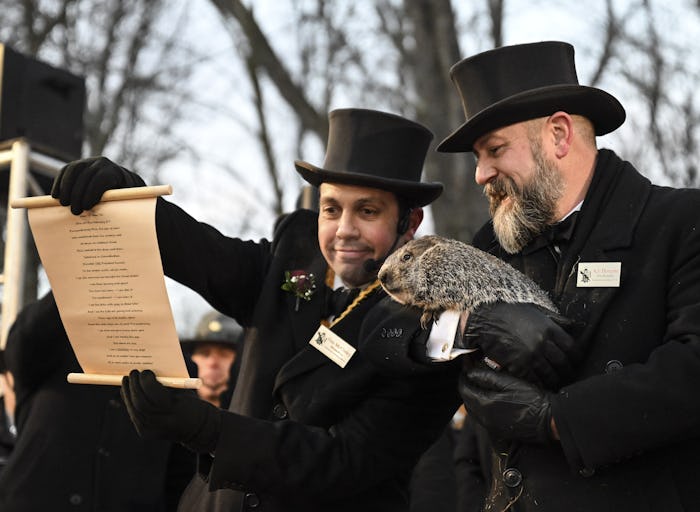 PUNXSUTAWNEY, PA, USA - FEBRUARY 2: Punxsutawney Phil saw his shadow on Wednesday morning 6 more wee...