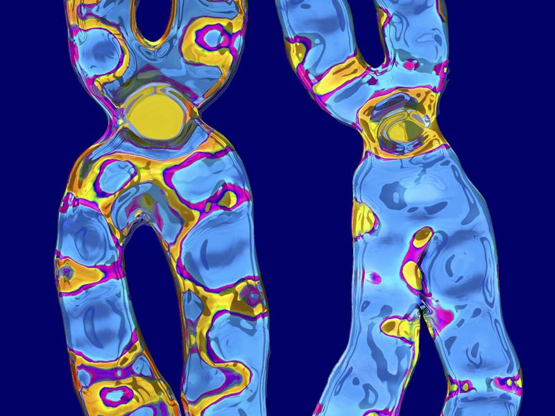 Sex Chromosome, Pair Of Human Sex Chromosomes, The 23Rd Pair Of Chromosomes Determines The Sex Of An...