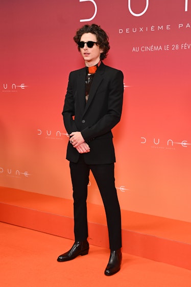 Timothée Chalamet attends the "Dune 2" Premiere at Le Grand Rex on February 12, 2024 in Paris, Franc...