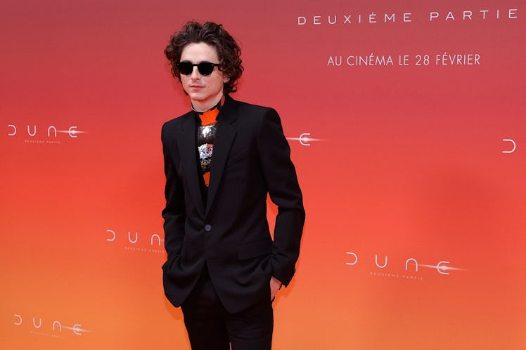 US-French actor Timothee Chalamet poses for a photocall during the preview screening event for the f...