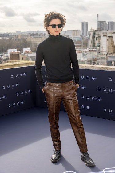 Timothee Chalamet attends the "Dune 2" Photocall at Shangri La Hotel on February 12, 2024 in Paris, ...