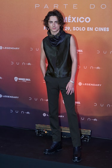 Timothee Chalamet poses during the photocall for the movie 'Dune: Part Two' at Four Seasons Hotel on...