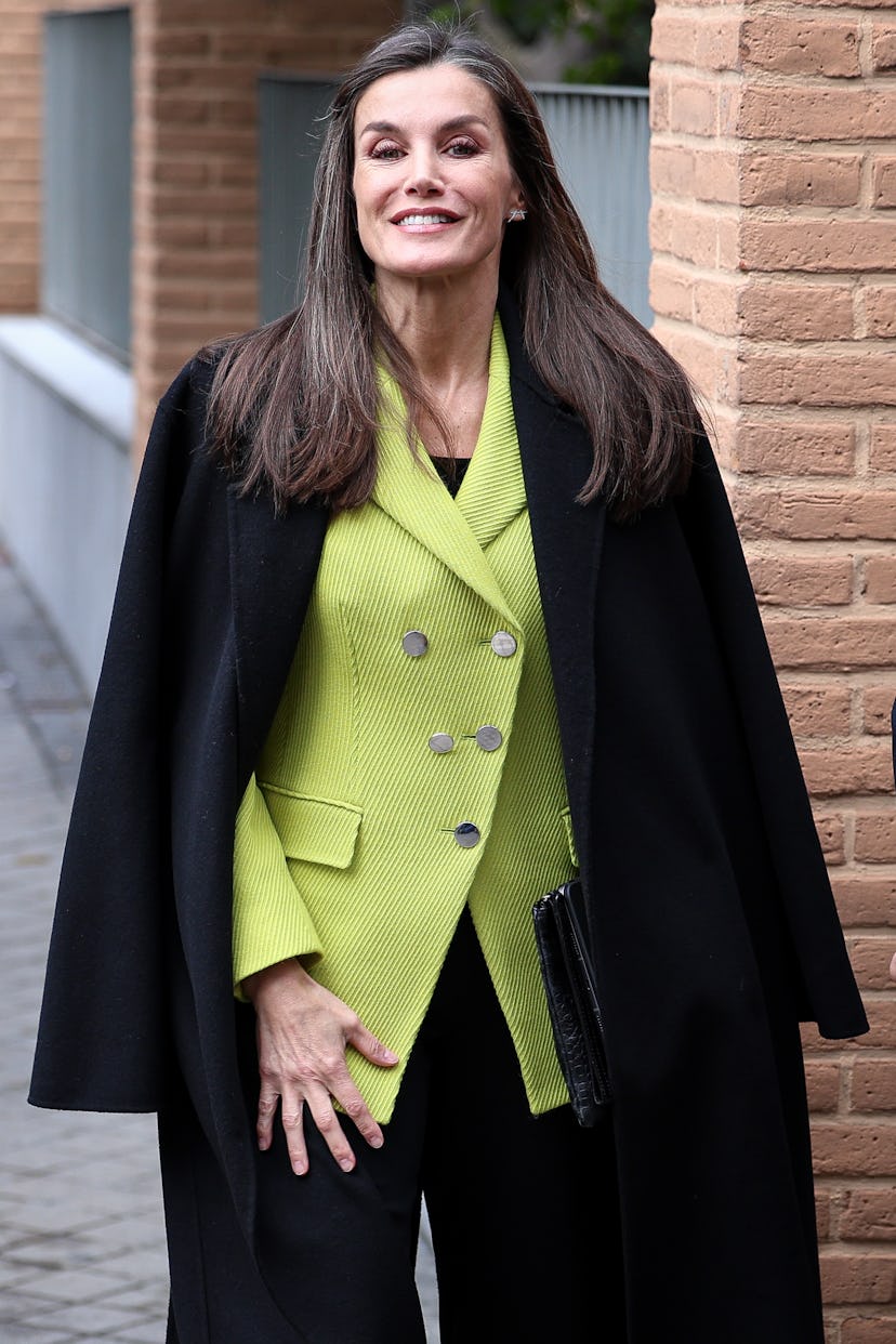 Queen Letizia of Spain attends a meeting at FEDER (Spanish Federation for Rare Diseases) headquarter...