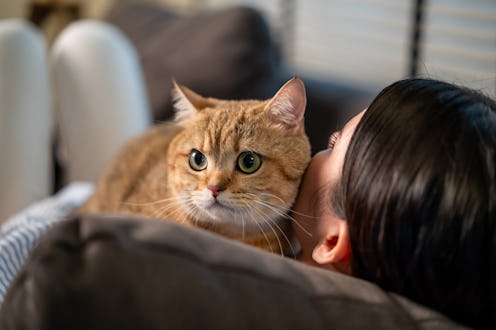 Caucasian woman hugging and play with little cat with happiness at home. Attractive beautiful female...